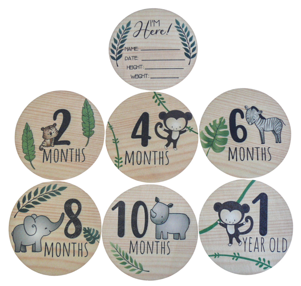 Milestone Discs 7 Piece,