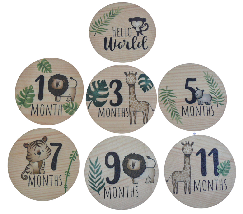 Milestone Discs 7 Piece,