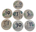 Milestone Discs 7 Piece,